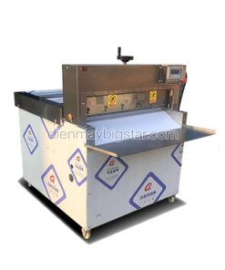 Máy cắt thịt đông lạnh 8 cuộn RJ-8