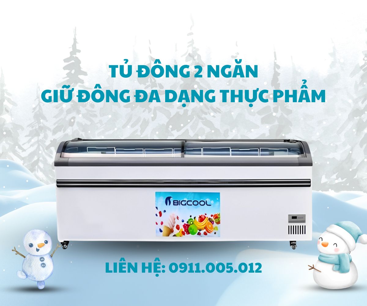 banner tủ đông 2 ngăn